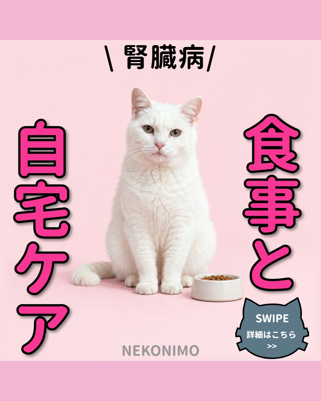 猫の慢性腎臓病｜食事と自宅管理の基本