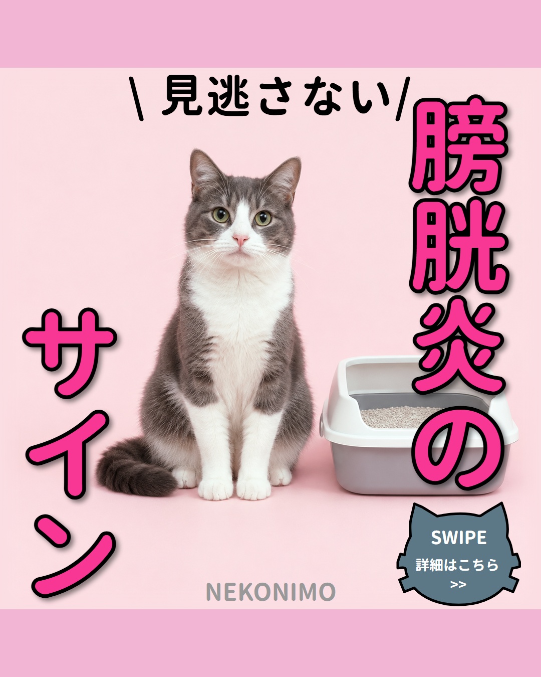 猫の膀胱炎のサインとは？早期発見のポイント