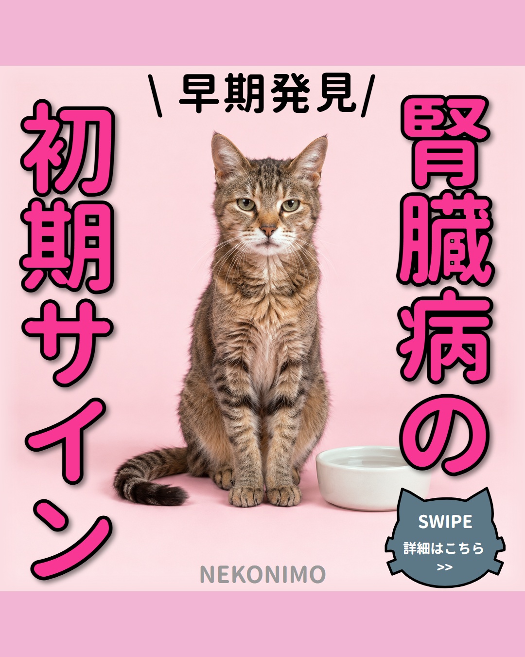 猫の腎臓病、見落としやすい初期サイン